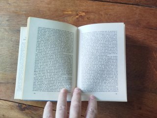 Libro - El retorno de los brujos
