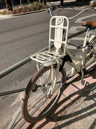 Bicicleta holandesa Clásica Vogue Elite