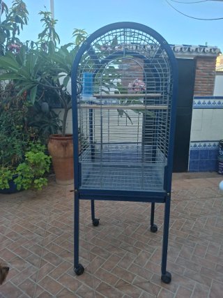 Jaula Voladera para Loros Azul