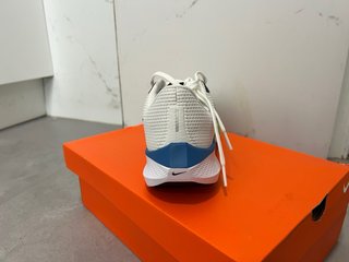 Nike Air Zoom Pegasus 40