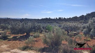 Terreno en venta en Riba-Roja d´Ebre
