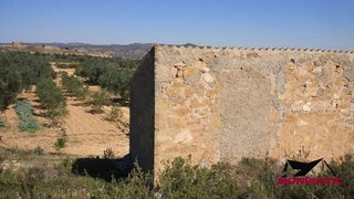 Terreno en venta en Riba-Roja d´Ebre