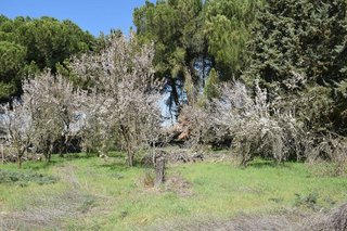 Chalet en venta en Villoria