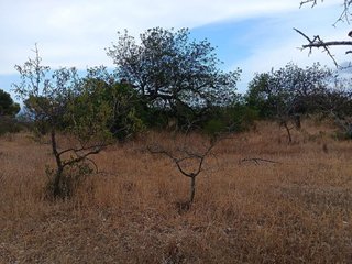 Terreno en venta en Roquetes