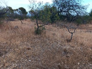 Terreno en venta en Roquetes