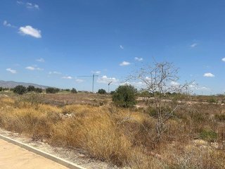 Solar en venta en Hacienda del Álamo Golf en Fuente Alamo