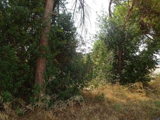 Terreno en venta en Dosrius