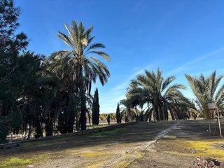 Terreno en venta en La Algoda - Matola - El Pla en Elche