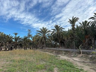 Terreno en venta en La Algoda - Matola - El Pla en Elche