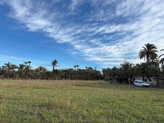 Terreno en venta en La Algoda - Matola - El Pla en Elche