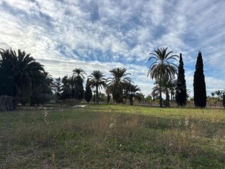 Terreno en venta en La Algoda - Matola - El Pla en Elche
