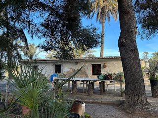 Terreno en venta en La Algoda - Matola - El Pla en Elche