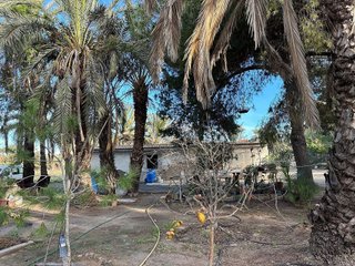 Terreno en venta en La Algoda - Matola - El Pla en Elche
