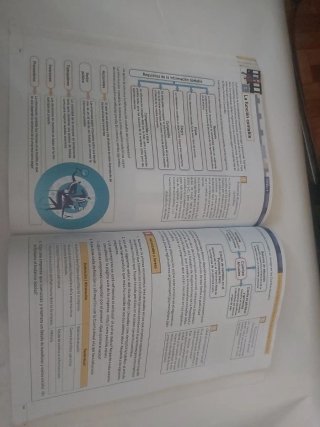 Iniciación a la actividad emprendedora y empres...
