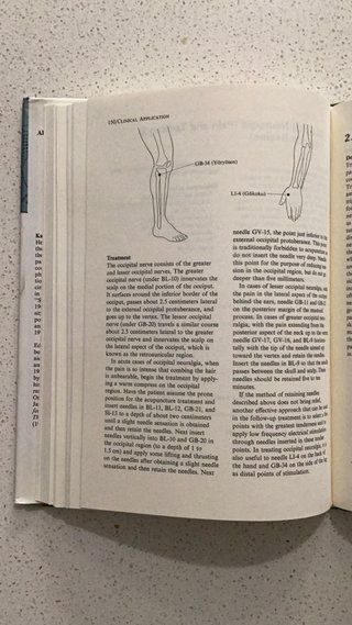 Clinical Acupuncture: A Practical Japanese Appr...