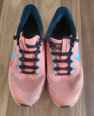 Nike Pegasus 41 Zapatillas Running Niños. Talla 36