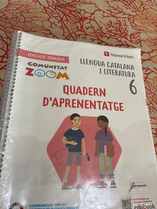 Llengua i Literatura, 6 Educació Primària, Comu...