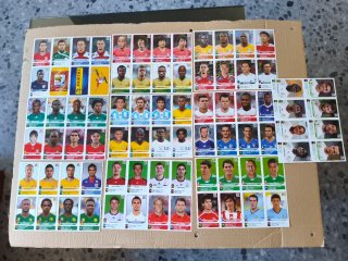 Colección Mundial 2010 Panini + Actualización
