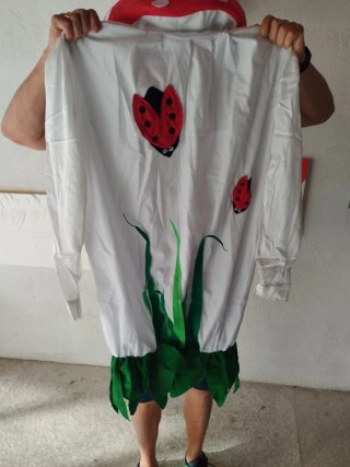 Disfraz Mariquita Adulto Talla Única