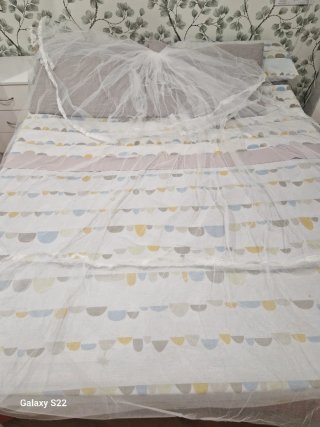 Vestido de Novia Blanco con Velo.