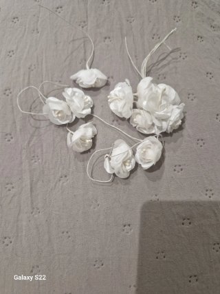 Vestido de Novia Blanco con Velo.