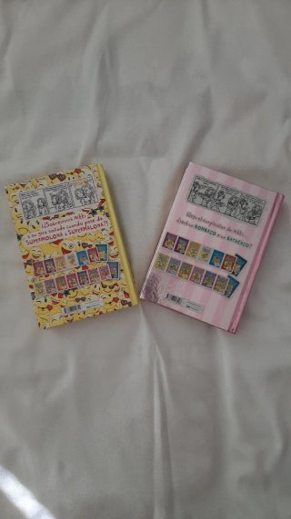 Diario de NIKKI 13 y 14