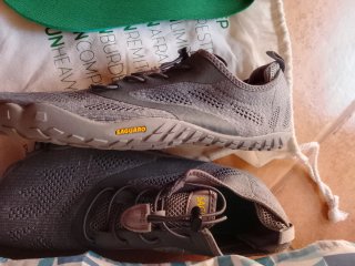 Zapatillas Saguaro Hombre Talla 44 Gris