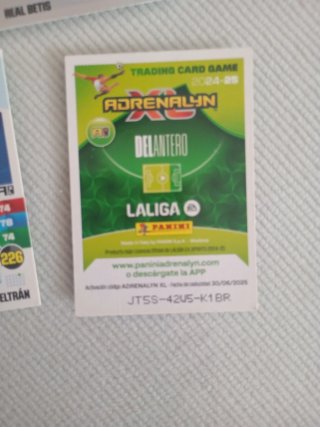 Cromos de fútbol Panini