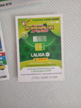 Cromos de fútbol Panini