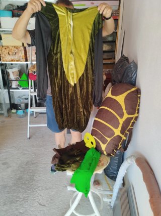 Disfraz Tortuga Adulto Talla Única