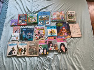 Lote 19 libros infantiles - Cuentos y Colecciones