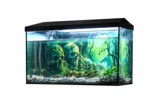Acuario LEDDY 75 con Filtro y Enfriador