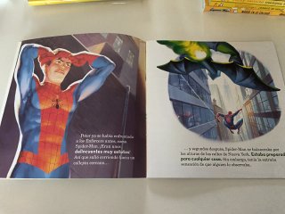 Spider-Man vs Green Goblin