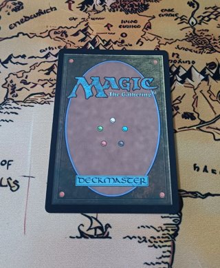 CARTA MAGIC - BALAMB GARDEN
