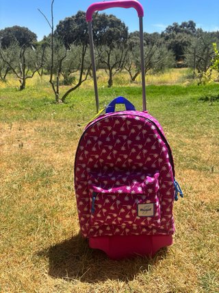 Mochila escolar con ruedas y etiqueta