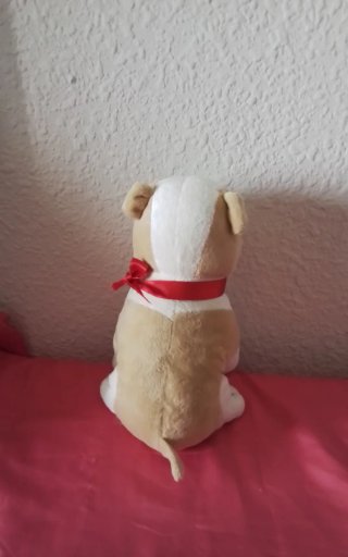 Lote 5 Peluches Perros