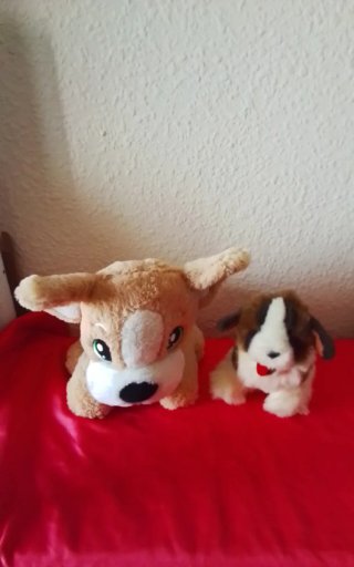 Lote 5 Peluches Perros