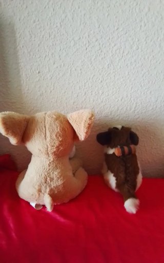 Lote 5 Peluches Perros