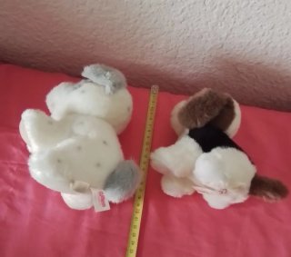 Lote 5 Peluches Perros