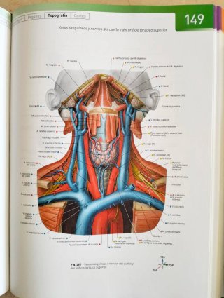 Sobotta atlas de anatomia humana