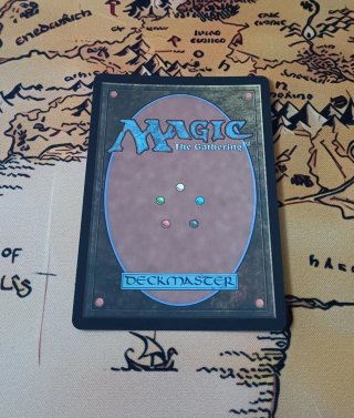 CARTA MAGIC FOIL - BIBLIOTECA SILVANA