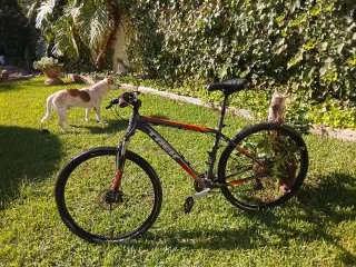 Bicicleta Trek Marlin 5