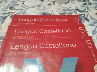 Lengua castellana, 5 Primaria