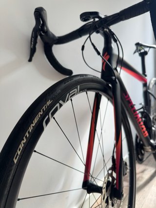 Specialized Tarmac Carbono t.49