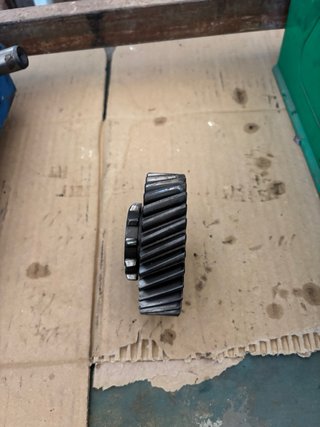 Piñón caja cambios/reductora 31d. - LAND ROVER SAN