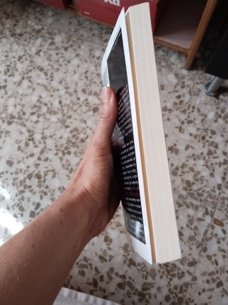 La pintura en el cine cuestiones de representac...