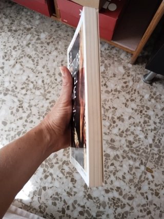 La pintura en el cine cuestiones de representac...