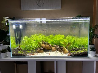 Acuario cristal óptico 112 litros + mueble