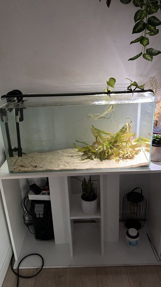 Acuario cristal óptico 112 litros + mueble