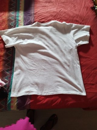 Camiseta Sportster Heads Hombre Blanca